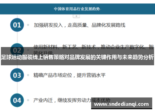 足球运动服装线上销售策略对品牌发展的关键作用与未来趋势分析