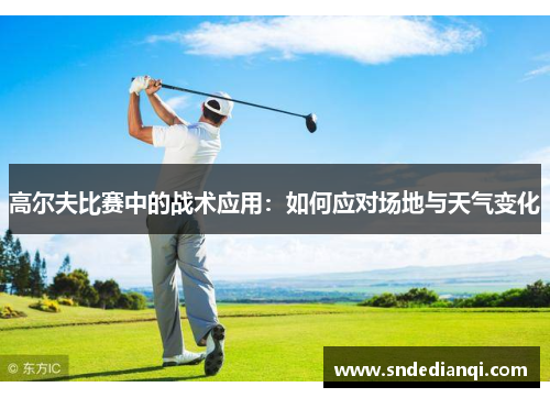 高尔夫比赛中的战术应用：如何应对场地与天气变化