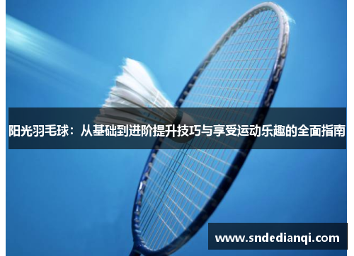 阳光羽毛球：从基础到进阶提升技巧与享受运动乐趣的全面指南