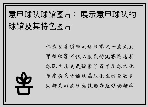 意甲球队球馆图片：展示意甲球队的球馆及其特色图片